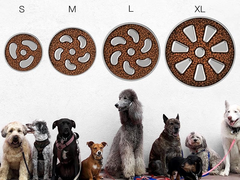 for all size breeds