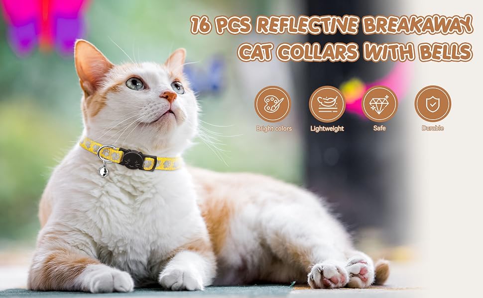 cat collar with bells