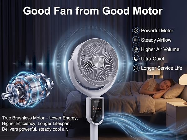Wahacool Cordless Pedestal Fan