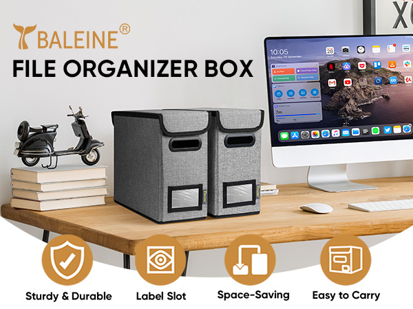 file organizer