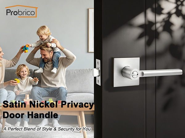 Nickel Privacy Door Handle