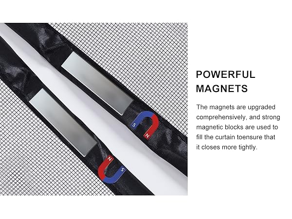 magnet