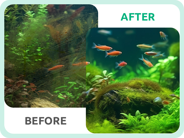 aquarium glass scraper