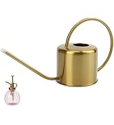Remiawy Watering Can Indoor Outdoor Stainless Steel Watering Cans for House Plants Long Spout Wat...