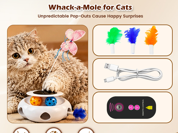 cat toys interactive
