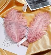 lotus pink ostrich feather