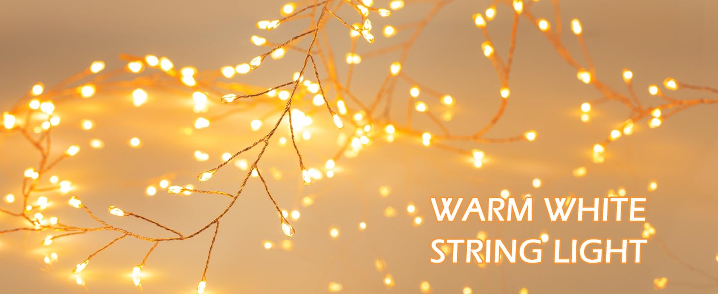 fairy lights