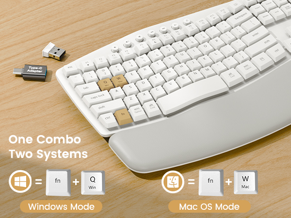 Compatible with MAC and Windows systems