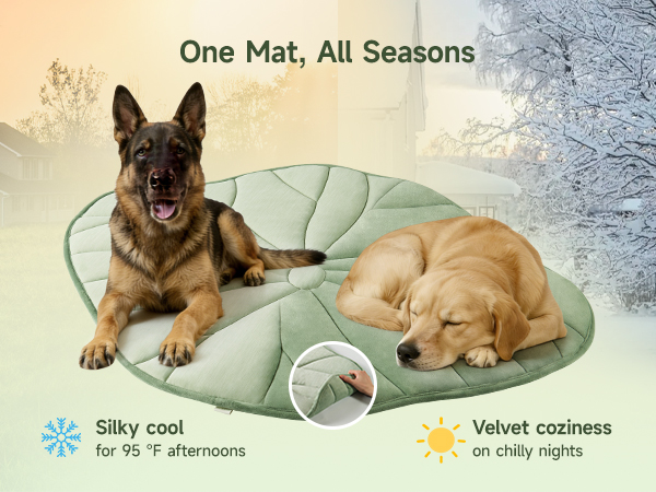 cooling mat for cats