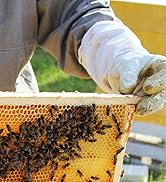 Lehman's Bee Box Beekeeping Supplies