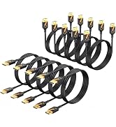 RyzzRooa DisplayPort Cable 6 Feet, 10-Pack Gold-Plated DP to DP Cables 4K@60Hz, 2K@165Hz, 2K@144H...