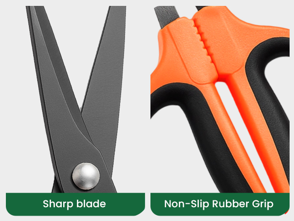 garden scissors