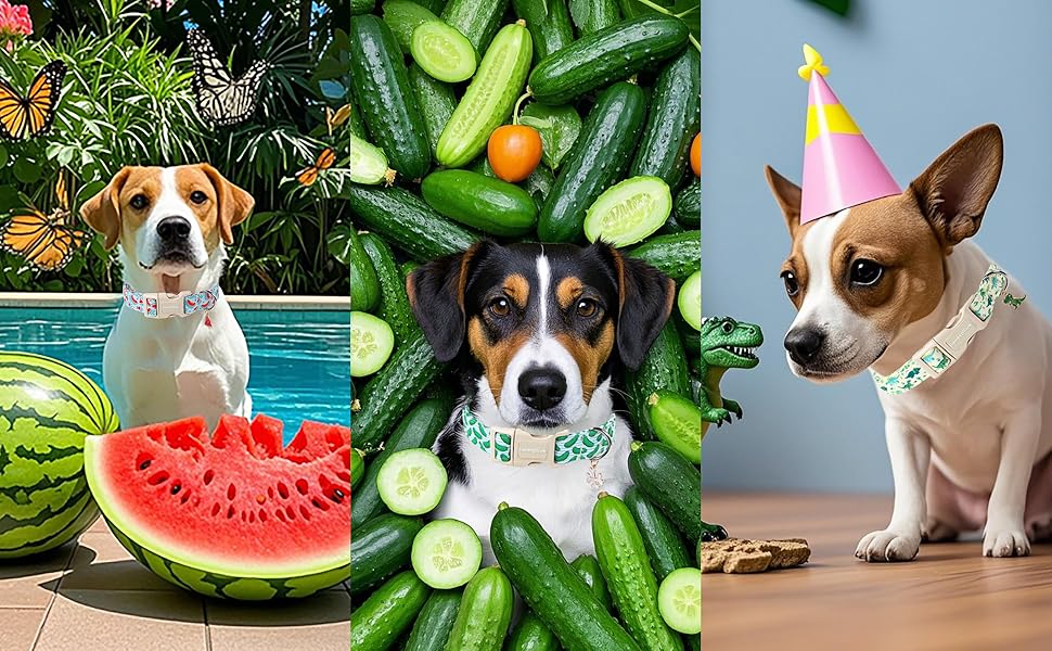 watermelon dog collar,summer dog collar,cyan pet collars for dogs,collar perros,light blue collar