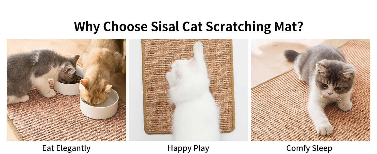 cat scratcher cat scratching posts cat sisal mat scratching posts for indoor cats sisal mat