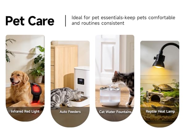 Pet Care theme, Ideal for pet essentials-keep pets comfortable and routines consistent