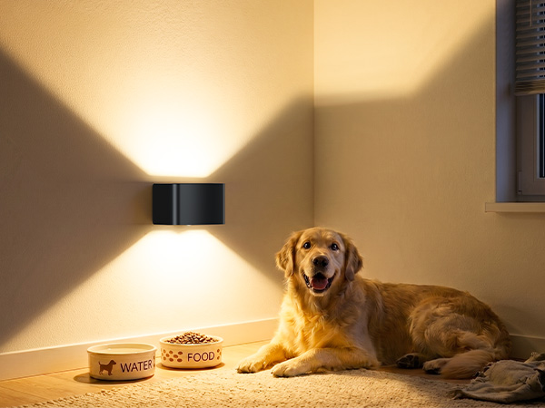 Motion Sensor Wall Light with Remote Control