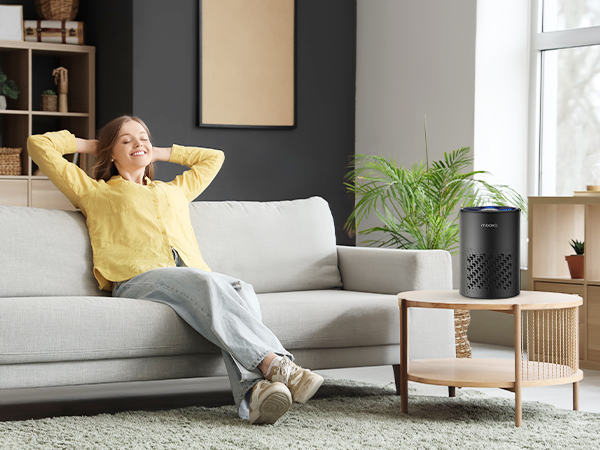 air purifier air purifiers for home air purifiers for bedroom hepa air purifier