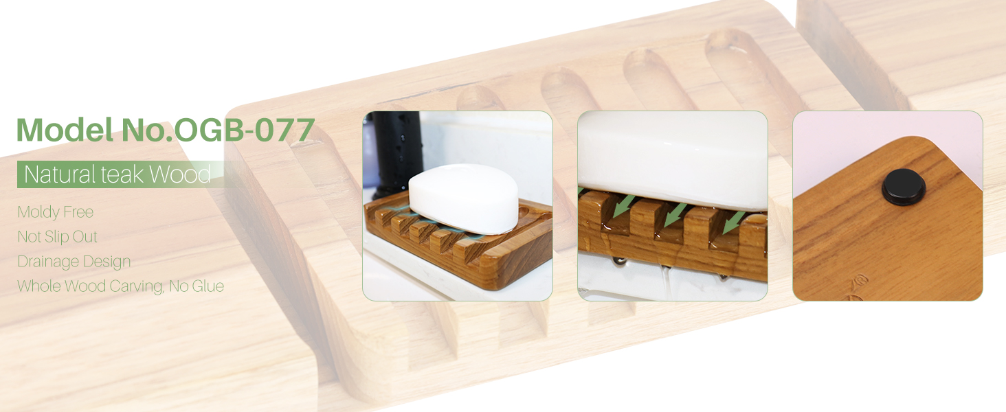 soap dish with drain