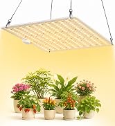 LED Grow Light