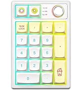 YUNZII YZ19 Wireless Mechanical Number Pad,19 Keys Numeric Keypad with Knob, RGB Gasket PBT Keyca...