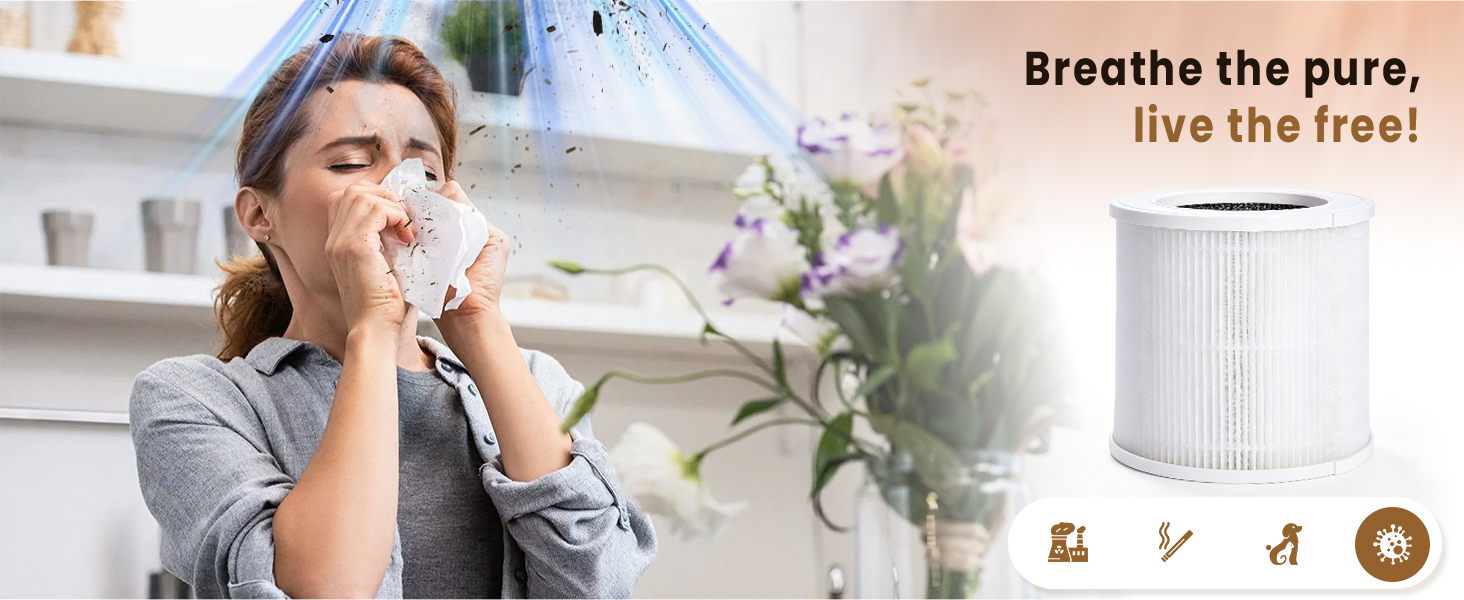 vendfo air purifier