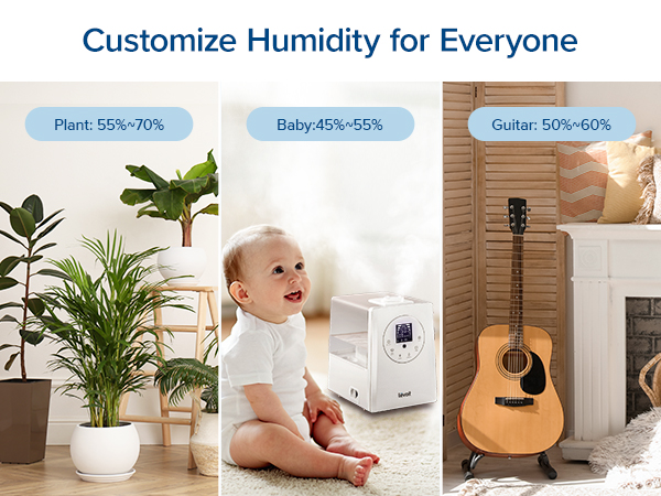 humidifier