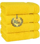 Cotton Paradise Hand Towels for Bathroom, 100% Turkish Cotton 16x28 inch 4 Piece Hand Towel Set, ...