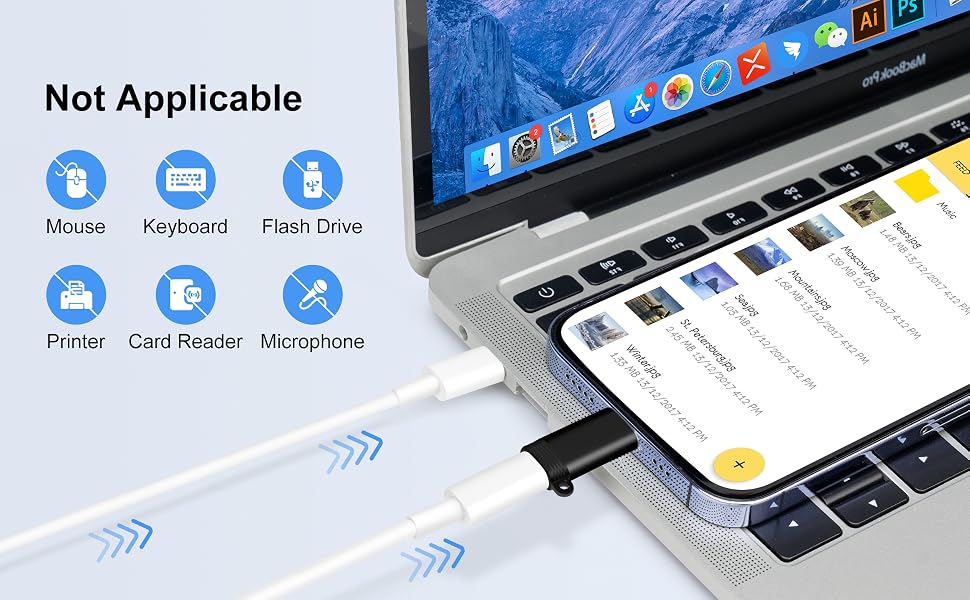 Lightning Female to USB-C Male Adapter