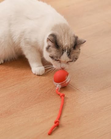 Active rolling ball cat toy moving on floor to encourage chasing and healthy exercise.