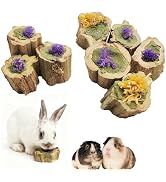 MUYG Natural Rabbit Chew Toys,Papaya Wood Sticks Organic Rabbit Treats with Timothy Hay Cakes and...