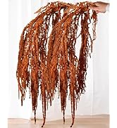 10Pcs Brown Preserved Hanging Amaranthus Flowers - 23" Cascading Dried Flower Tassels for Boho We...