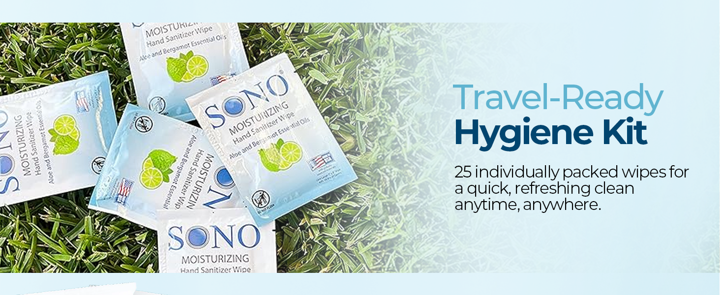 hand wipes sanitizing antibacterial travel size norovirus disinfecting handwipes portable sanitiser