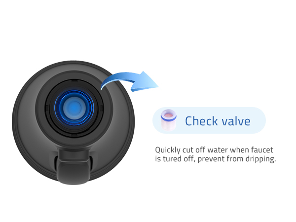 check valve