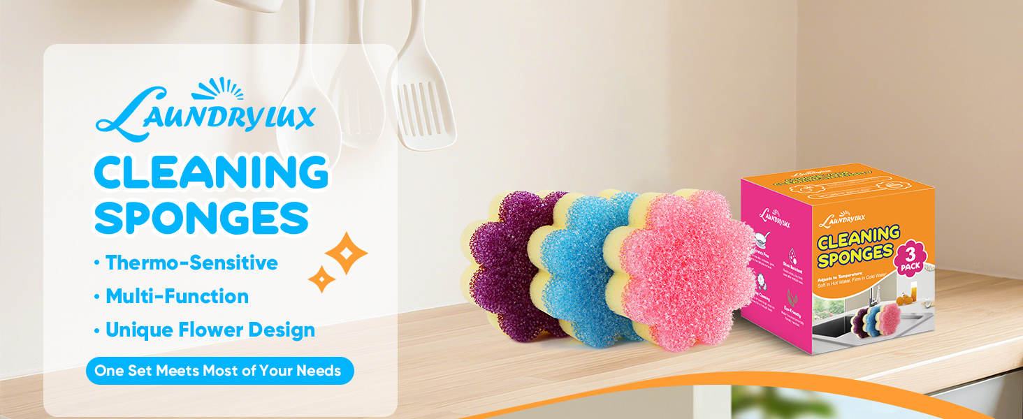 cleaning sponges