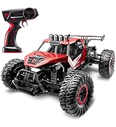 SGILE Remote Control Car Toy for Boys, 2.4 GHz RC Drift Race Car, Fast Speedy Crawler Truck, 2 Ba...