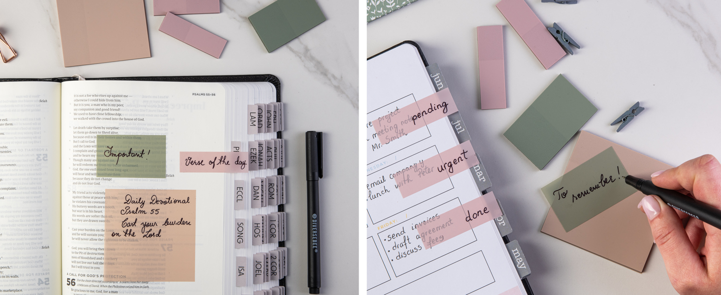 DiverseBee Pastel Transparent Sticky Notes