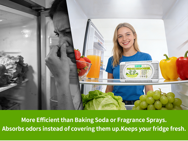 fridge deodorizer