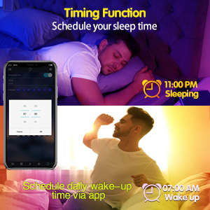 smart RGBIC firework led lights