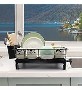 iwapuy Dish Drying Rack, Dish Racks for Kitchen Counter, Space Saving Anti-Rust Kitchen Drying Ra...