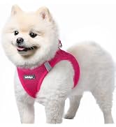 rabbitgoo Small Dog Harness, Step-in Soft Mesh Puppy Vest with Safety Buckle, Breathable Reflecti...