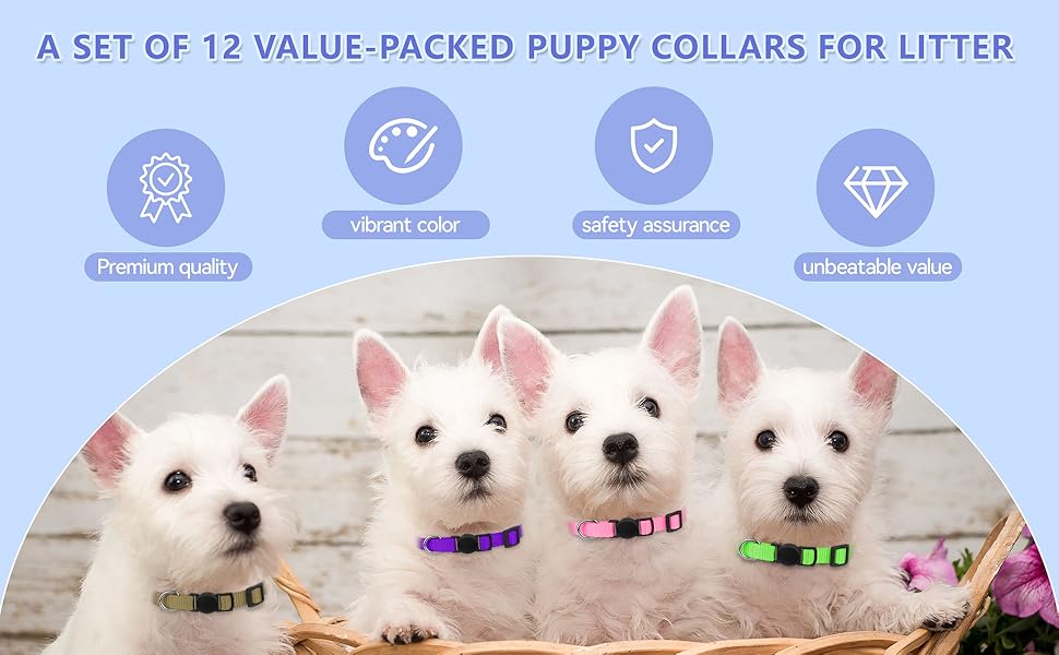puppy collars for litter