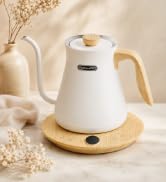 gooseneck electric kettle