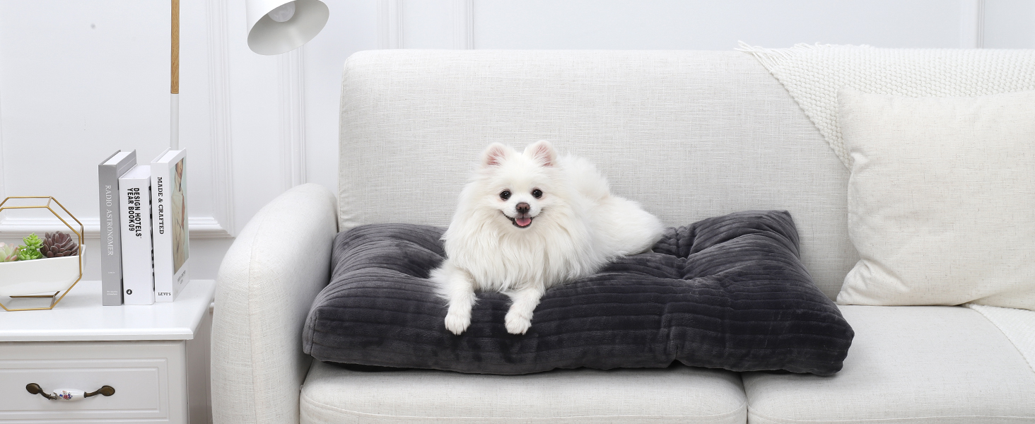 for Sofa