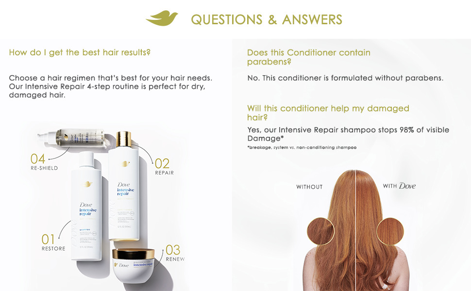 Q & A