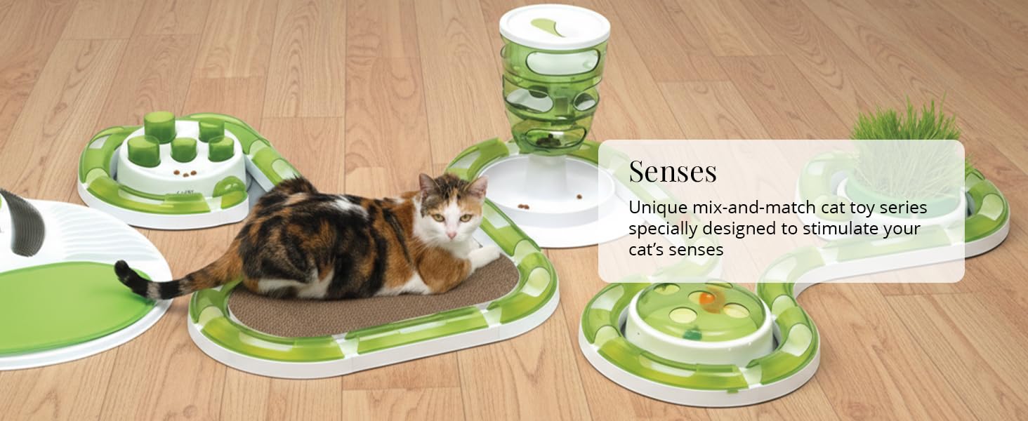 Senses