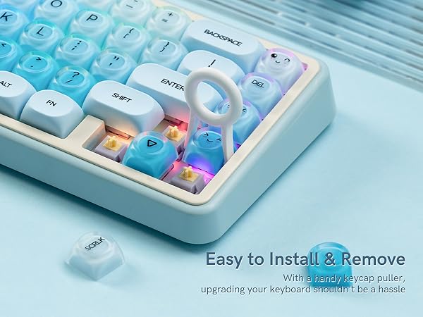 compatible with Cherry Gateron MX switch