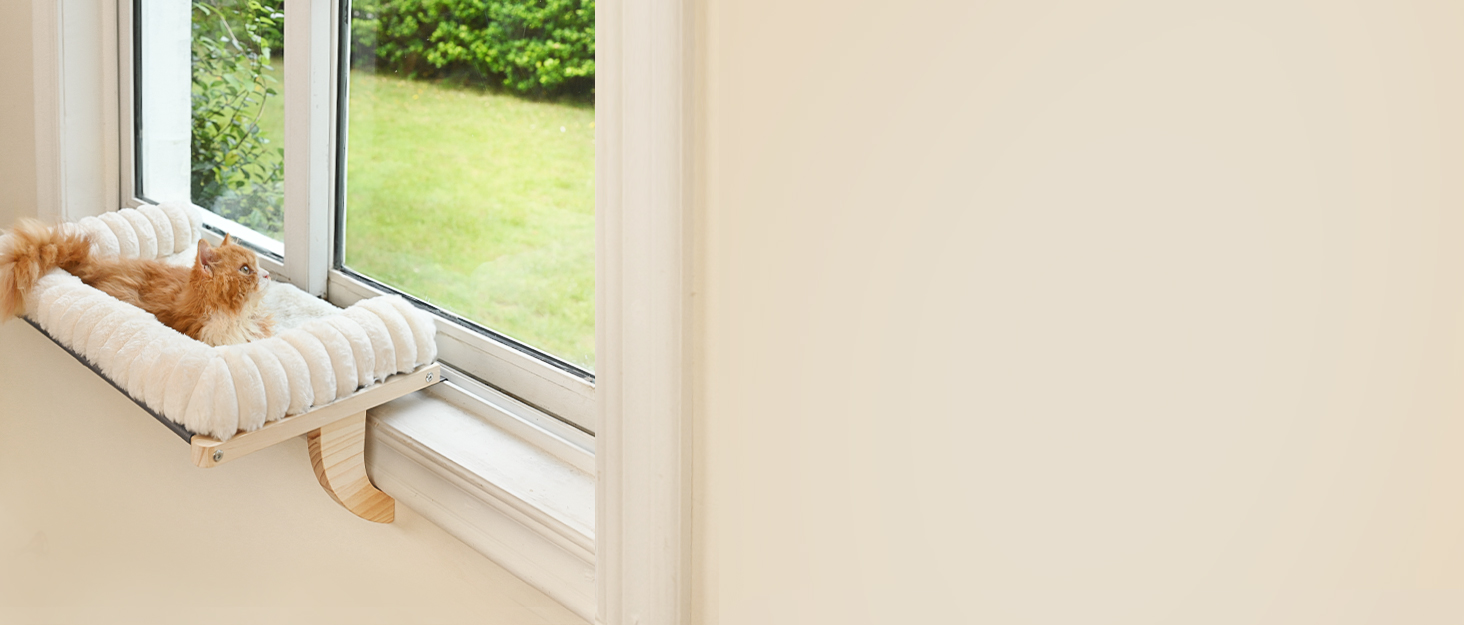 cat window perch