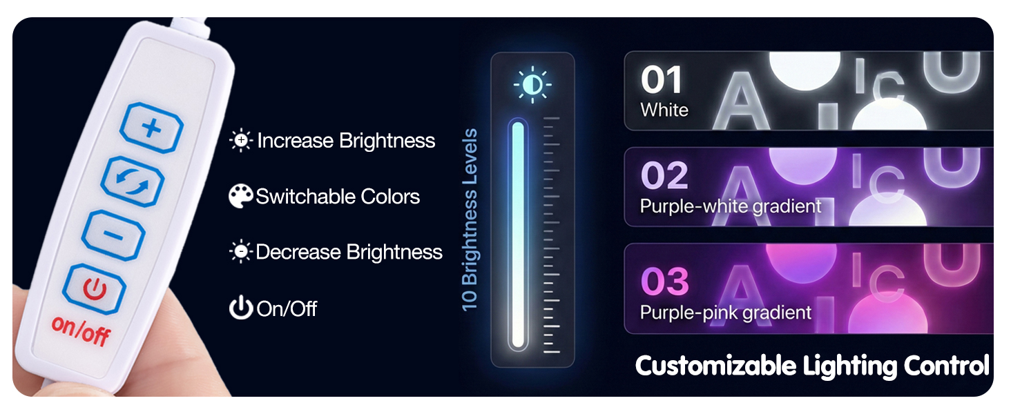 Customizable Lighting Control