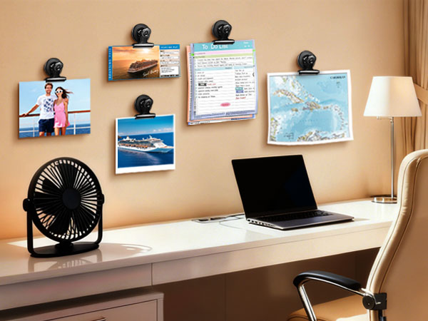cruise ship essentials