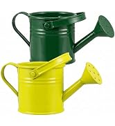DOITOOL Kids Metal Watering Can, 2pack Small Iron Watering Can for Gardening Succulents Bonsai Ho...